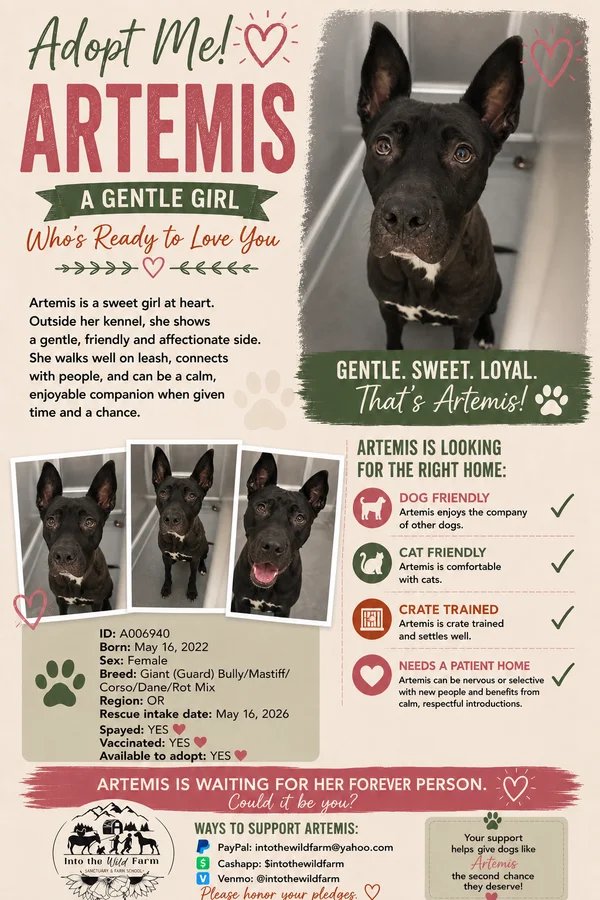 Artemis
