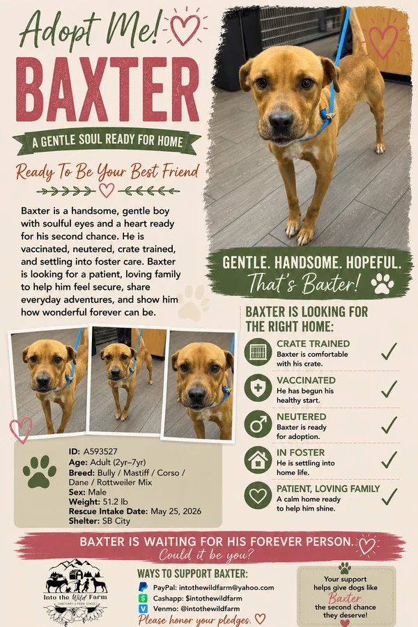 Baxter