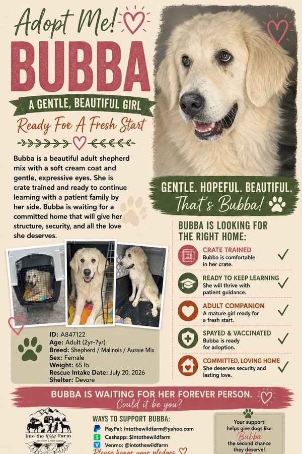 Bubba