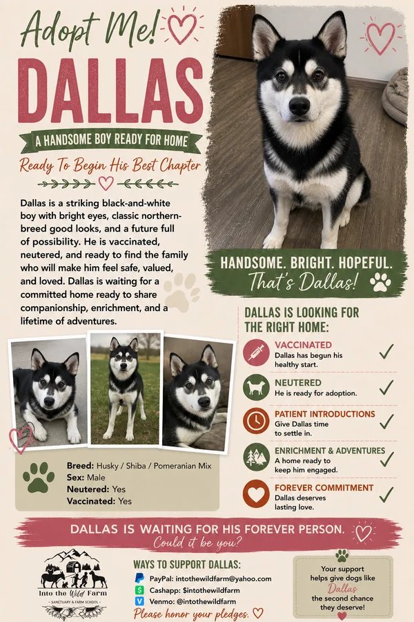 Dallas