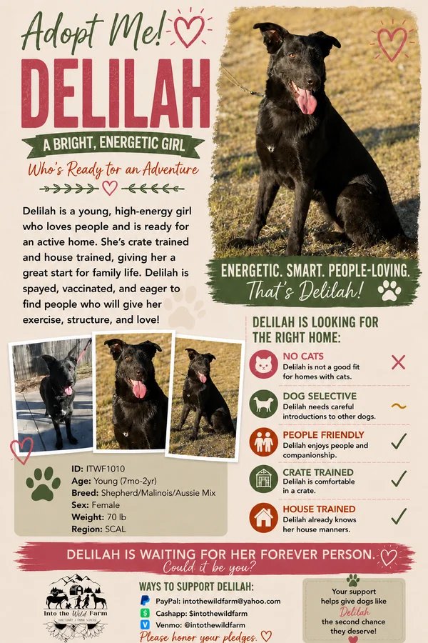 Delilah