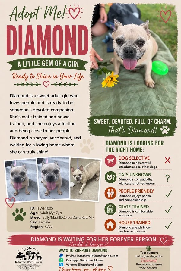 Diamond