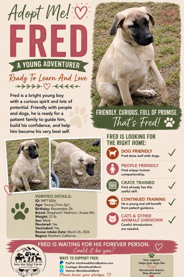 Fred