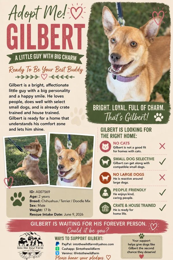 Gilbert