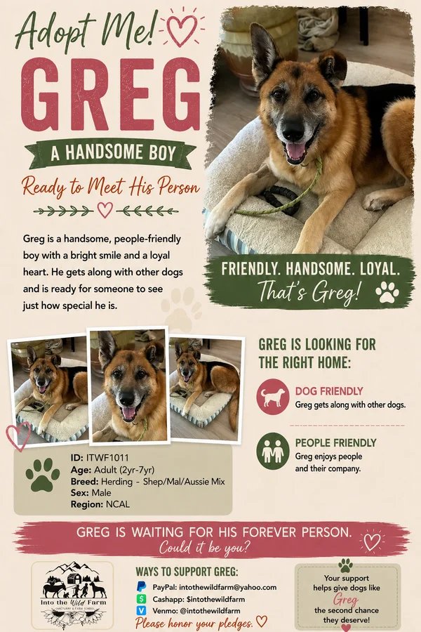 Greg