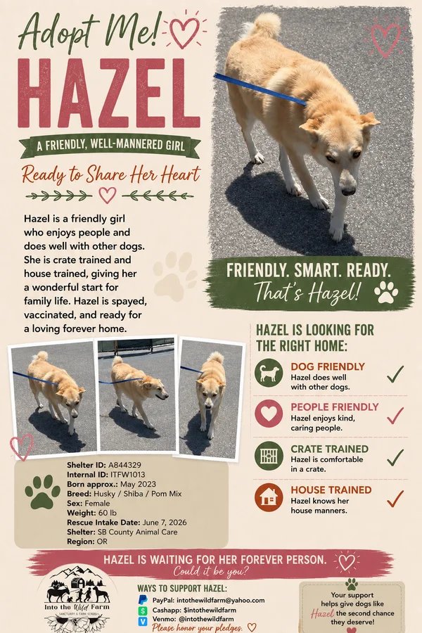Hazel
