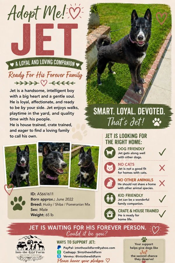 Jet