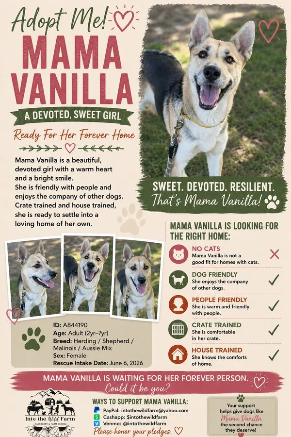 Mama Vanilla
