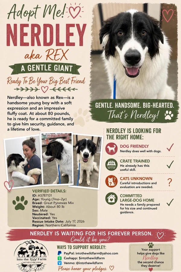 Nerdley aka Rex