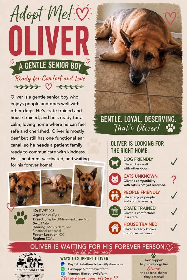 Oliver
