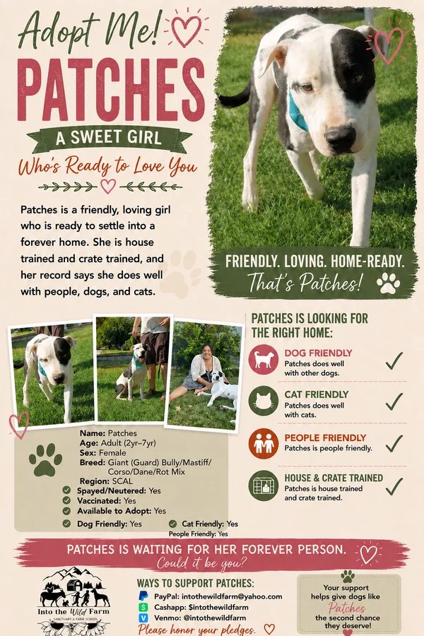 Patches