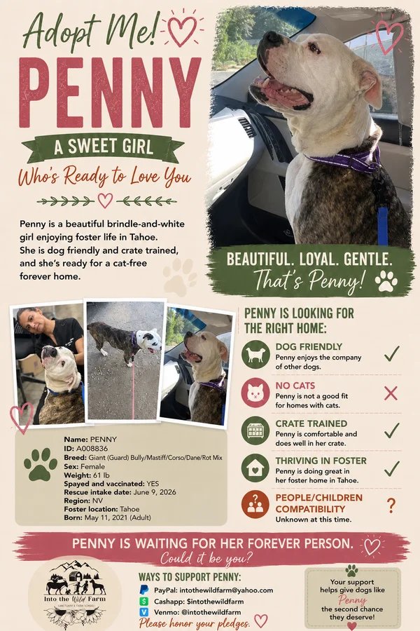 Penny