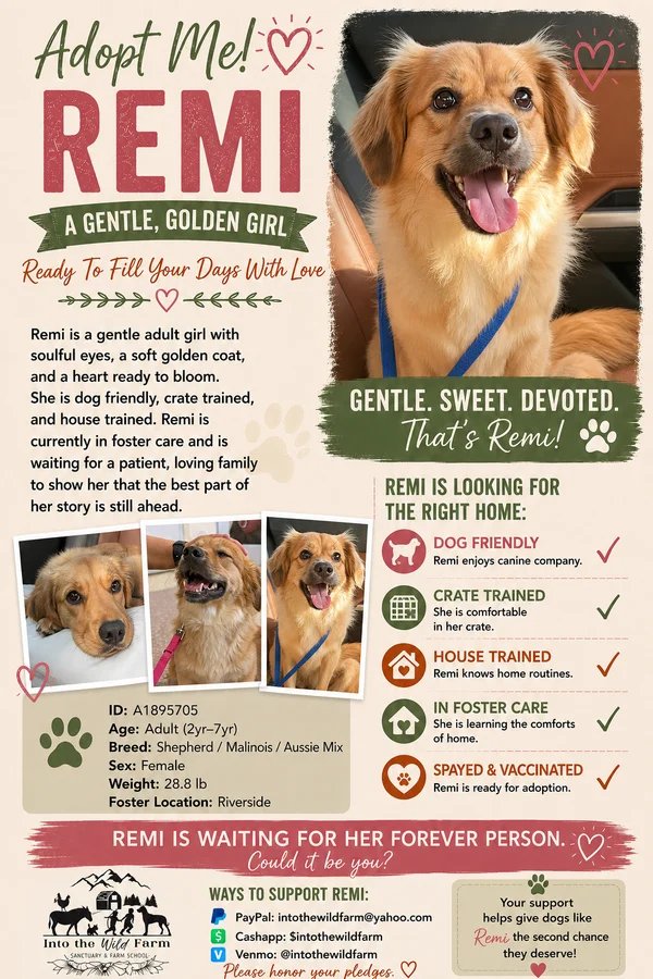 Remi