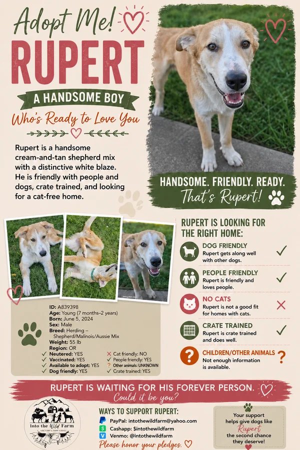 Rupert