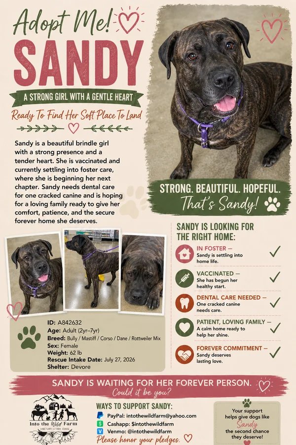 Sandy