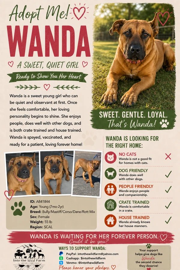 Wanda